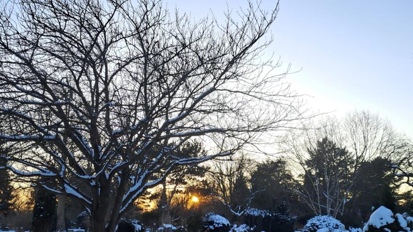 Winterstimmung auf dem Friedhof