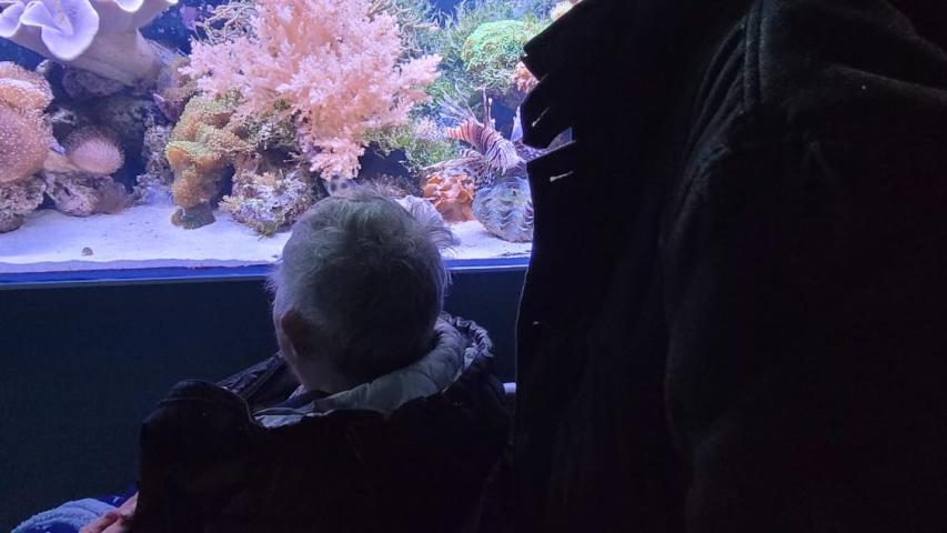 Frau K. und ihr Mann vor einem Aquariumbecken