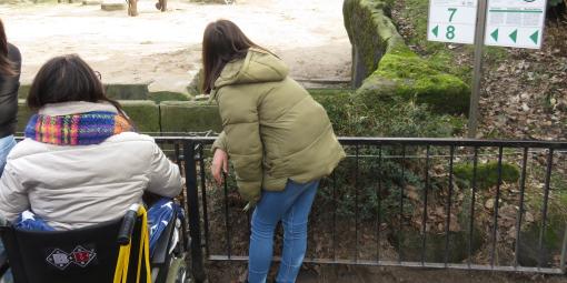 Wunschfahrt zum Tierpark Hagenbeck