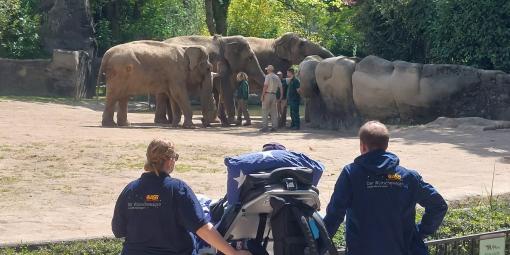 Wunschfahrt zum Tierpark Hagenbeck