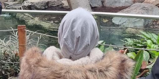 Wunschfahrt zum Tierpark Hagenbeck